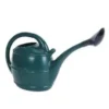 10L Ward Watering Can