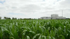 PlantGrow All Purpose Peat Free Compost - 900L Bulk Bag 8 PlantGrow All Purpose Peat Free Compost - 900L Bulk Bag -Garden Hearth 2093270281 jpg