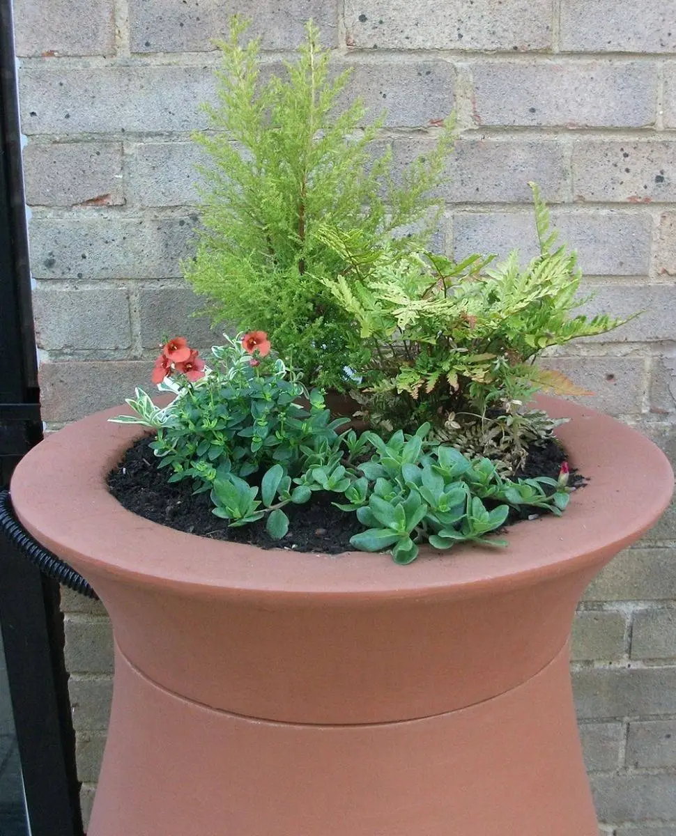 Algreen 245L Cascata Clay Effect Water Butt With Planter 3 Algreen 245L Cascata Clay Effect Water Butt With Planter - Image 3