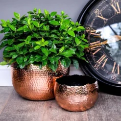 Decorative Hammered Planter Bowl