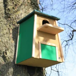 Barn Owl Nest Box