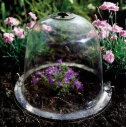 Haxnicks Baby Victorian Bell Cloche (Pack Of 3) -Garden Hearth bbpt jpg