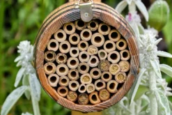 Bee Barrel -Garden Hearth bee barrel 2019 11 jpg