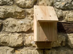 Chavenage Bat Box 12 Chavenage Bat Box -Garden Hearth cbb 2104 1 jpg