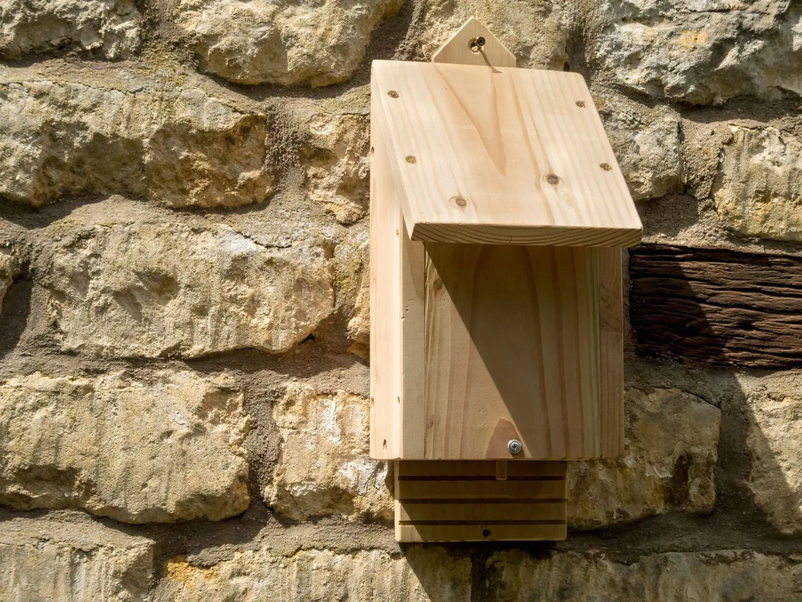 Chavenage Bat Box 6 Chavenage Bat Box - Image 6