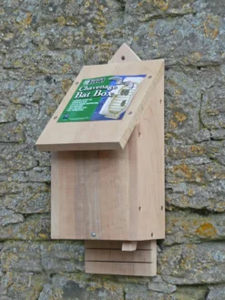 Chavenage Bat Box 9 Chavenage Bat Box -Garden Hearth cbb chavenage bat box jpg