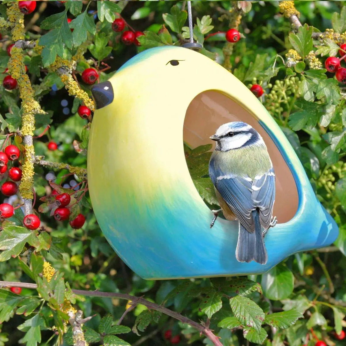 Ceramic Blue Tit Bird Feeder 1 Ceramic Blue Tit Bird Feeder