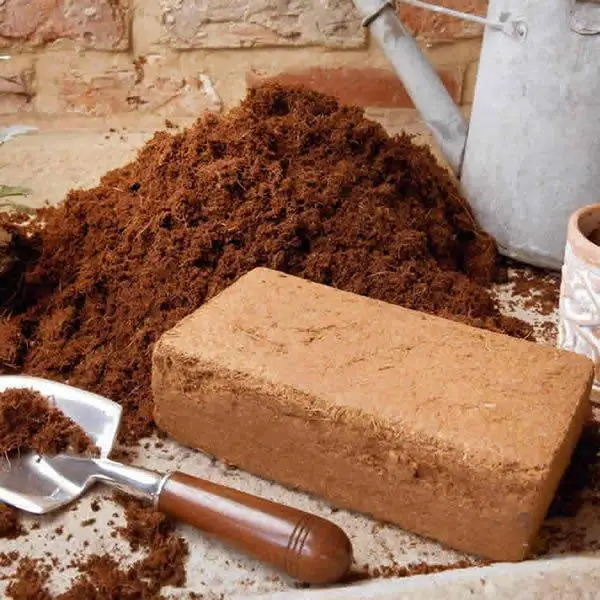 Coir Block For Wormery Bedding - 600 Grams 1 Coir Block For Wormery Bedding - 600 Grams