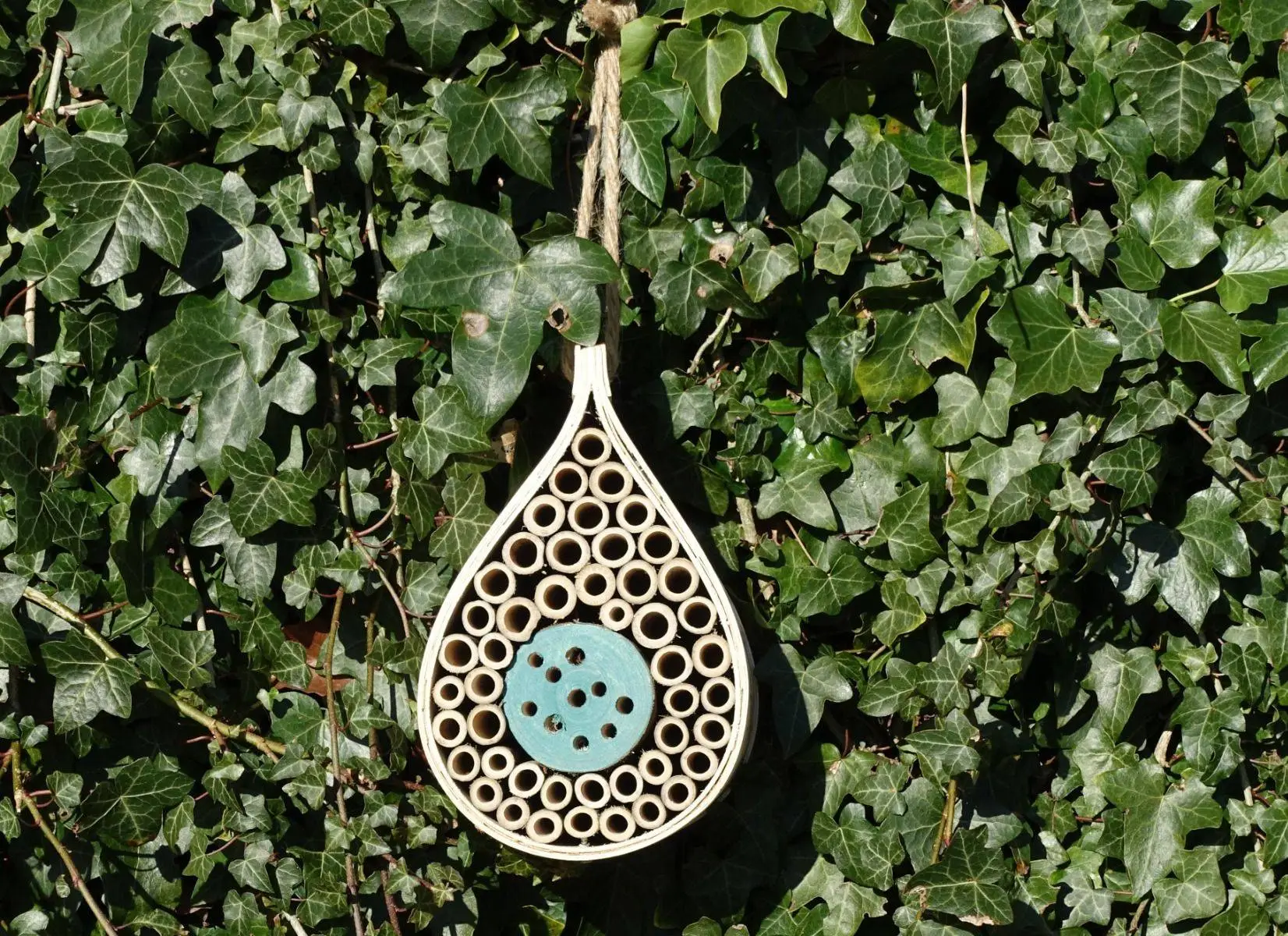 Dewdrop Bee & Bug Hotel 2 Dewdrop Bee & Bug Hotel - Image 2