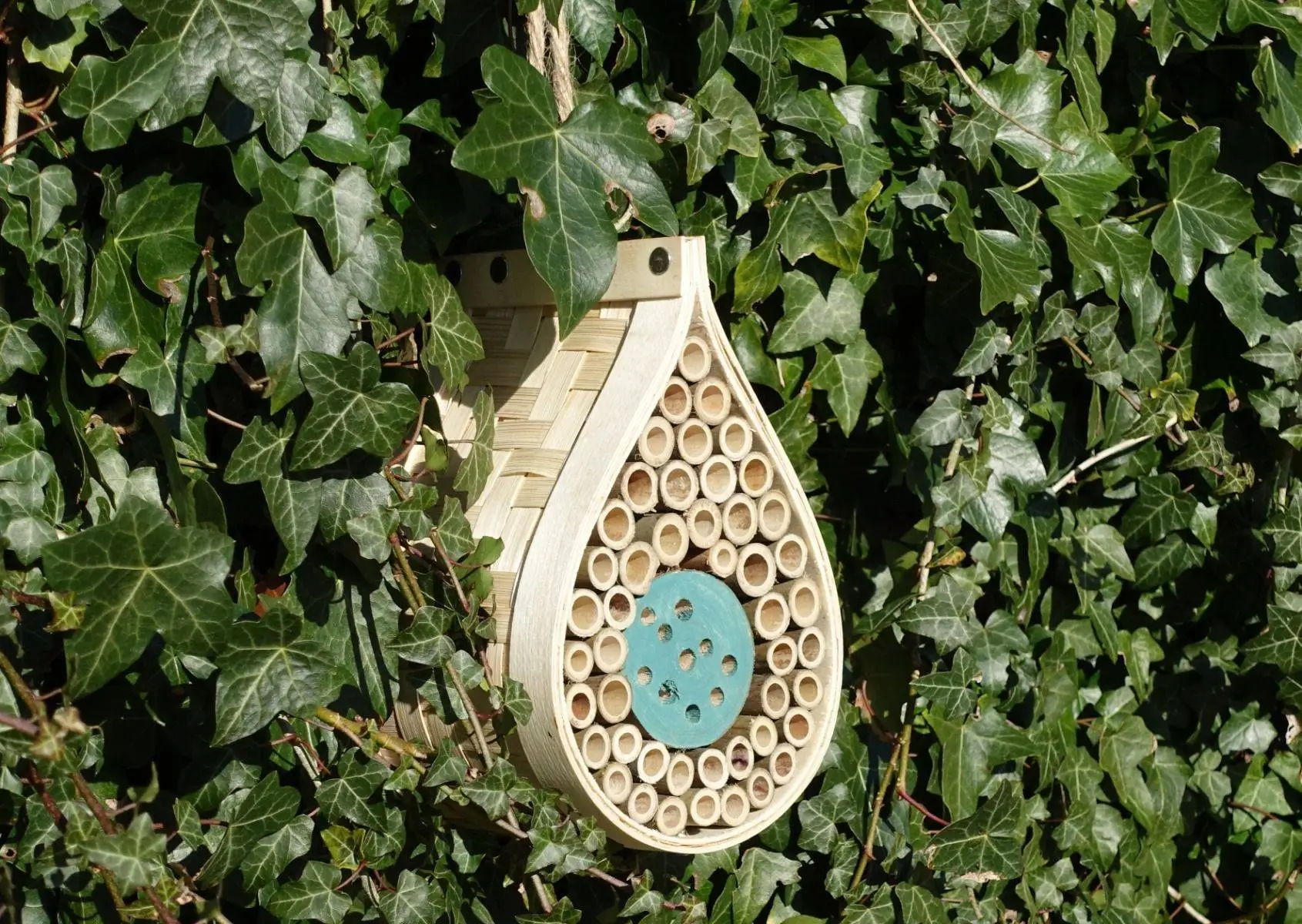 Dewdrop Bee & Bug Hotel 3 Dewdrop Bee & Bug Hotel - Image 3