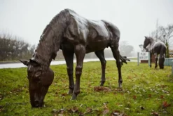 Cast Iron Life-sized Horse Statue, Grazing