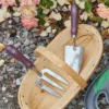 RHS Passiflora Trowel And Fork Gift Set