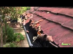 Hedgehog Gutter Brush (4m X 100mm) Black -Garden Hearth hqdefault 11 jpg