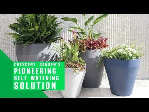 TruDrop Mod 20" X 14" X 24" Self Watering Planter In Olive Green 5 TruDrop Mod 20" X 14" X 24" Self Watering Planter In Olive Green - Image 5