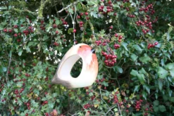 Ceramic Robin Bird Feeder -Garden Hearth img 5404 jpg