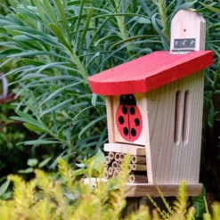 Ladybird & Insect Lodge - Bug Box