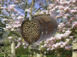 Bee Barrel -Garden Hearth lifestyle options for label best jpg