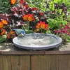 Aristotle Oasis Wildlife Bird Bath