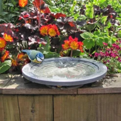 Aristotle Oasis Wildlife Bird Bath
