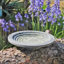 Aristotle Oasis Wildlife Bird Bath 6 Aristotle Oasis Wildlife Bird Bath -Garden Hearth microsoftteams image 53 jpg