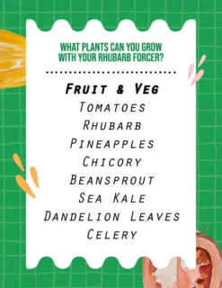 Rhubarb Forcer - Antique Terracotta Effect -Garden Hearth my project 10 jpg