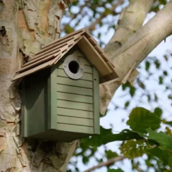New England Bird Nest Box