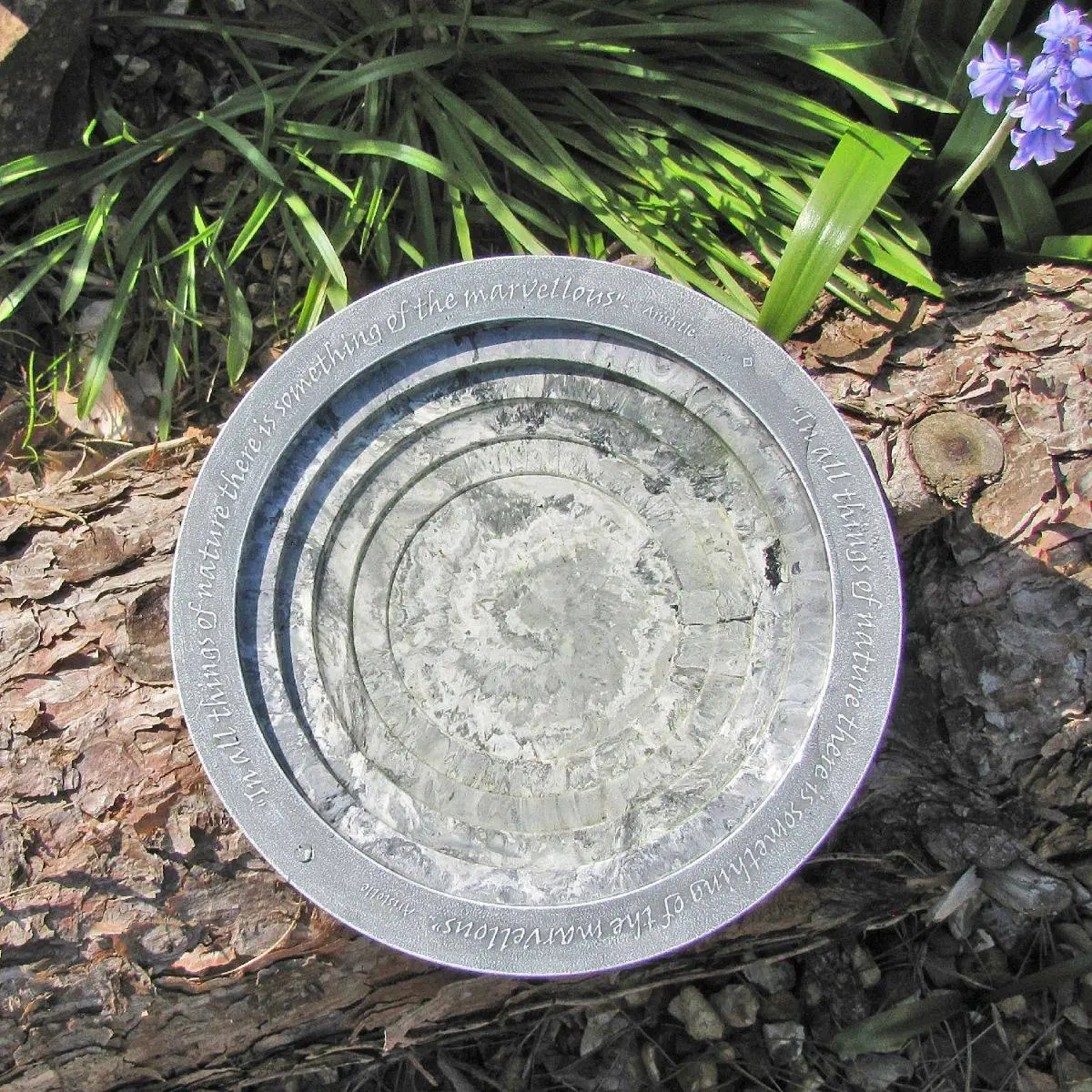 Aristotle Oasis Wildlife Bird Bath 4 Aristotle Oasis Wildlife Bird Bath - Image 4