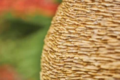 Kelkay Cotswold Sun Water Feature - Cotswold Cream Stone Effect -Garden Hearth prod 44022 cotswold sun close up ls 7 jpg