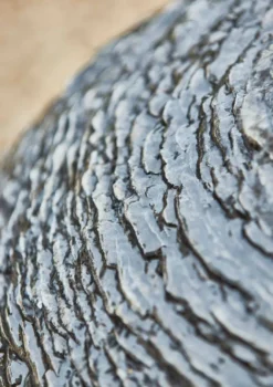 Kelkay Mysterious Moon Water Feature - Slate Grey Stone Effect -Garden Hearth prod 44023 mysterious moon close up ls 12 jpg