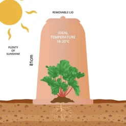 Rhubarb Forcer - Antique Terracotta Effect -Garden Hearth rhubarb forcer 2 01 jpg