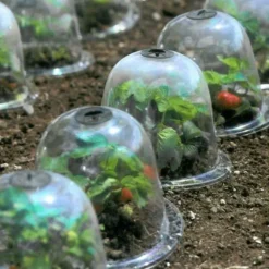 Haxnicks Baby Victorian Bell Cloche (Pack Of 3) -Garden Hearth w700 c haxbabyvictorianbells5 130110 115929 jpg