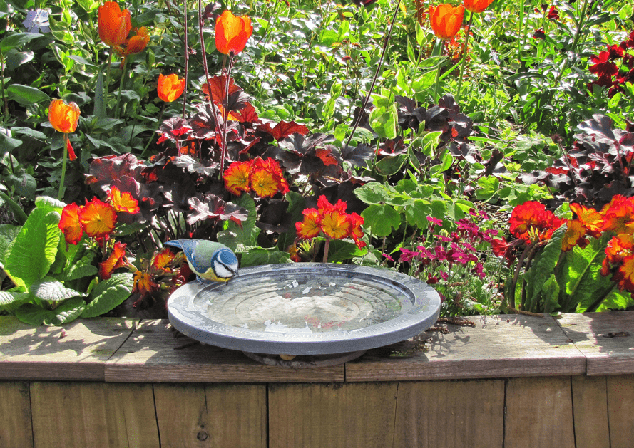 Garden Hearth -Garden Hearth Screenshot 2025 02 17 170530 min